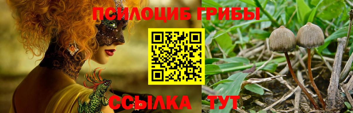 Котлас  Галлюциногенные грибы мухоморы  Вход с VPN  Псилоцибиновые грибы MAGIC MUSHROOMS 