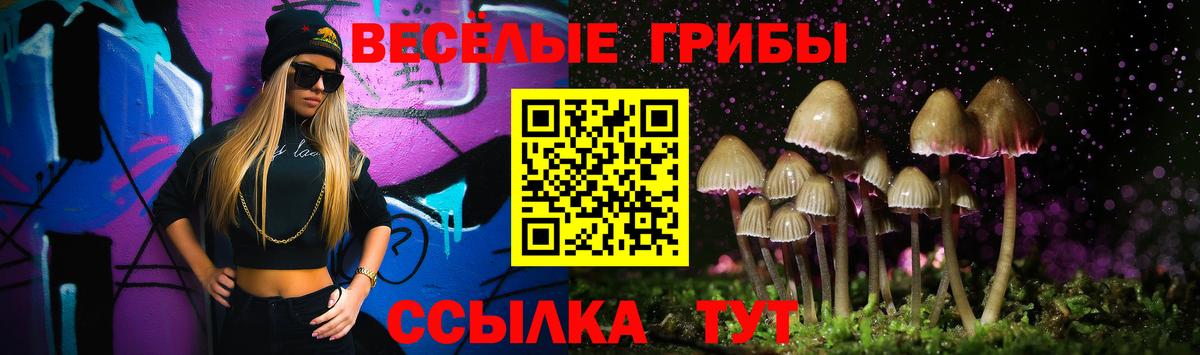 Псилоцибиновые грибы Psilocybine cubensis Котлас