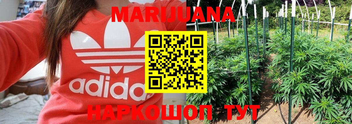 Каннабис Ganja Котлас